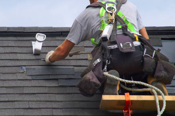 Best Roof Waterproofing Services  in Carrier Mls, IL