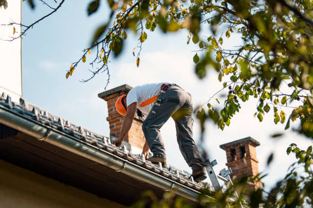 Best Slate Roofing Contractor  in Carrier Mls, IL
