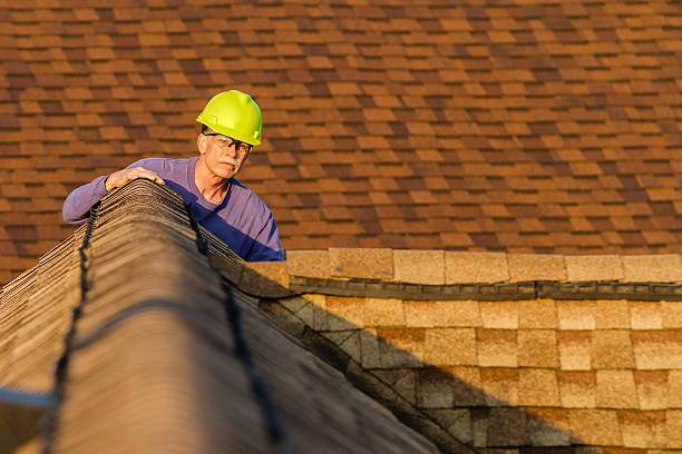 Best Shingle Roofing Installation  in Carrier Mls, IL